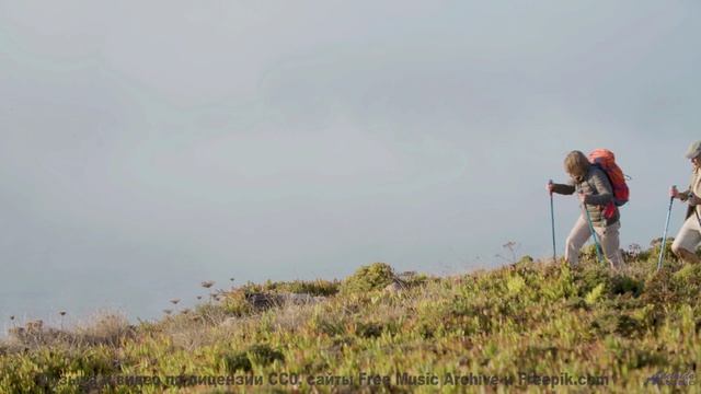 Ритмы поднимают над горизонтом вместе с камерой - Flowers -- Cedric Galke -- Unnamed album
