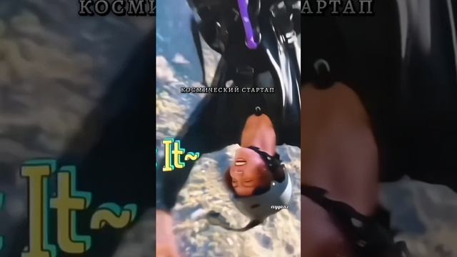 Чонгук