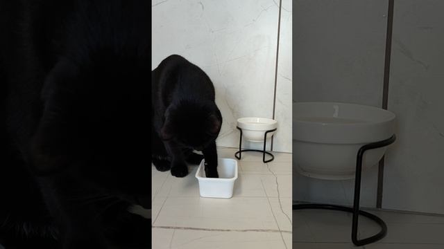 1000011320.mp4