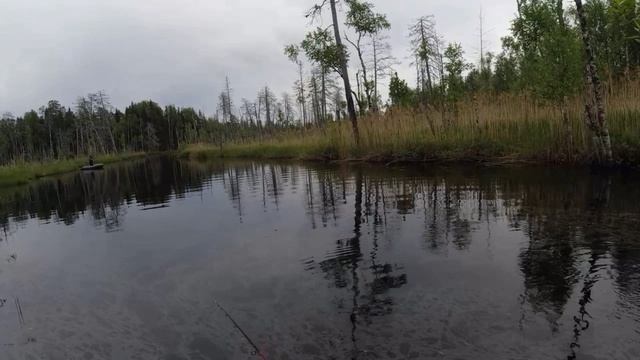 На Щучью речку)))