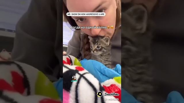 наши котейки 🐈 😽