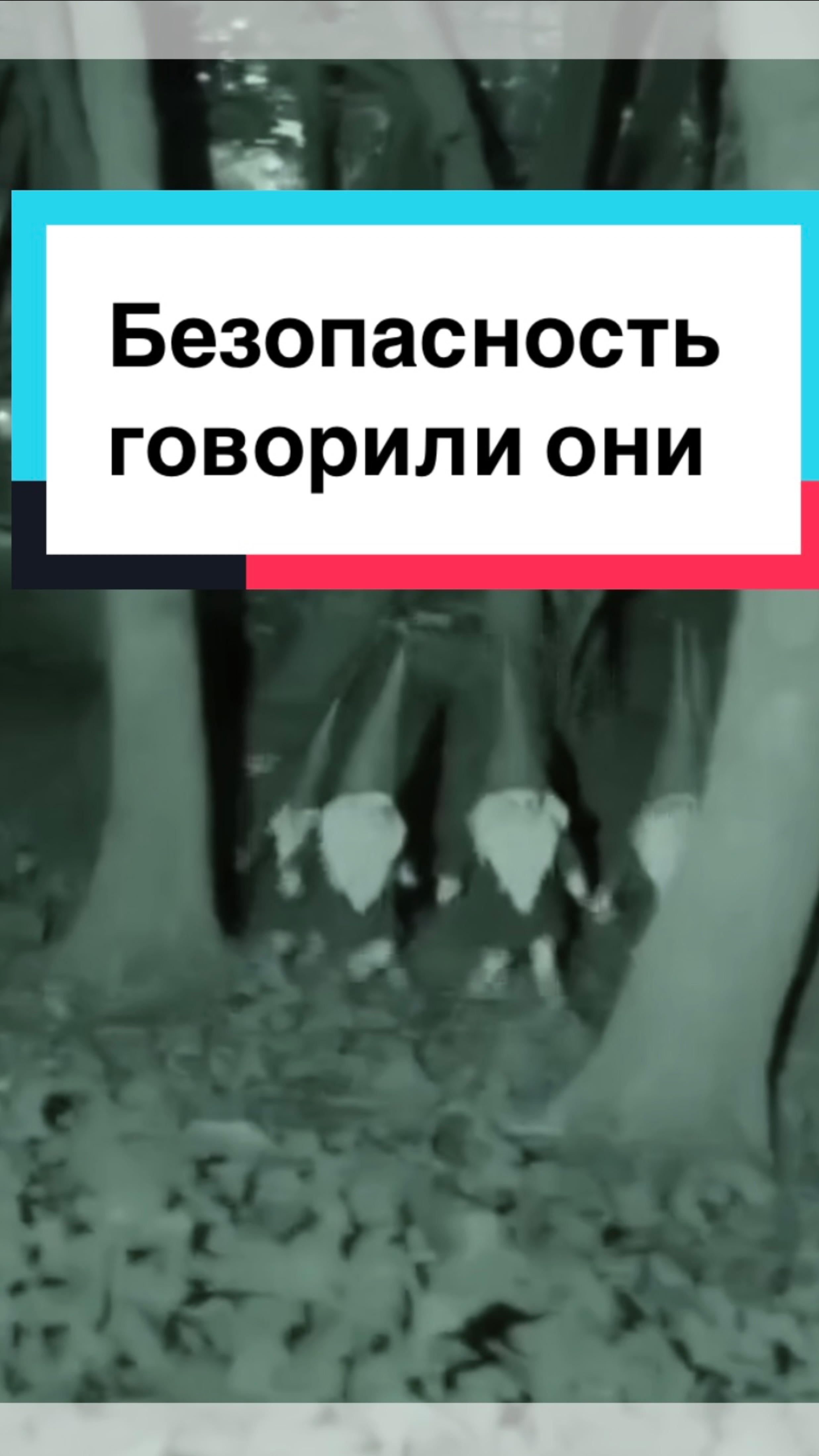 Камера и гномы 😹🤭