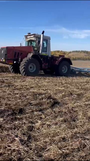 VID-20250319-WA0005.mp4