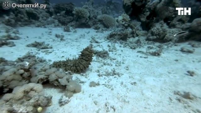 подборка лучших видео