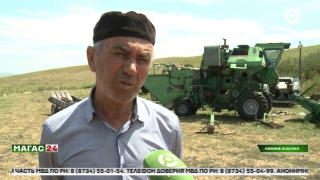 Аграрии готовятся к жатве озимых