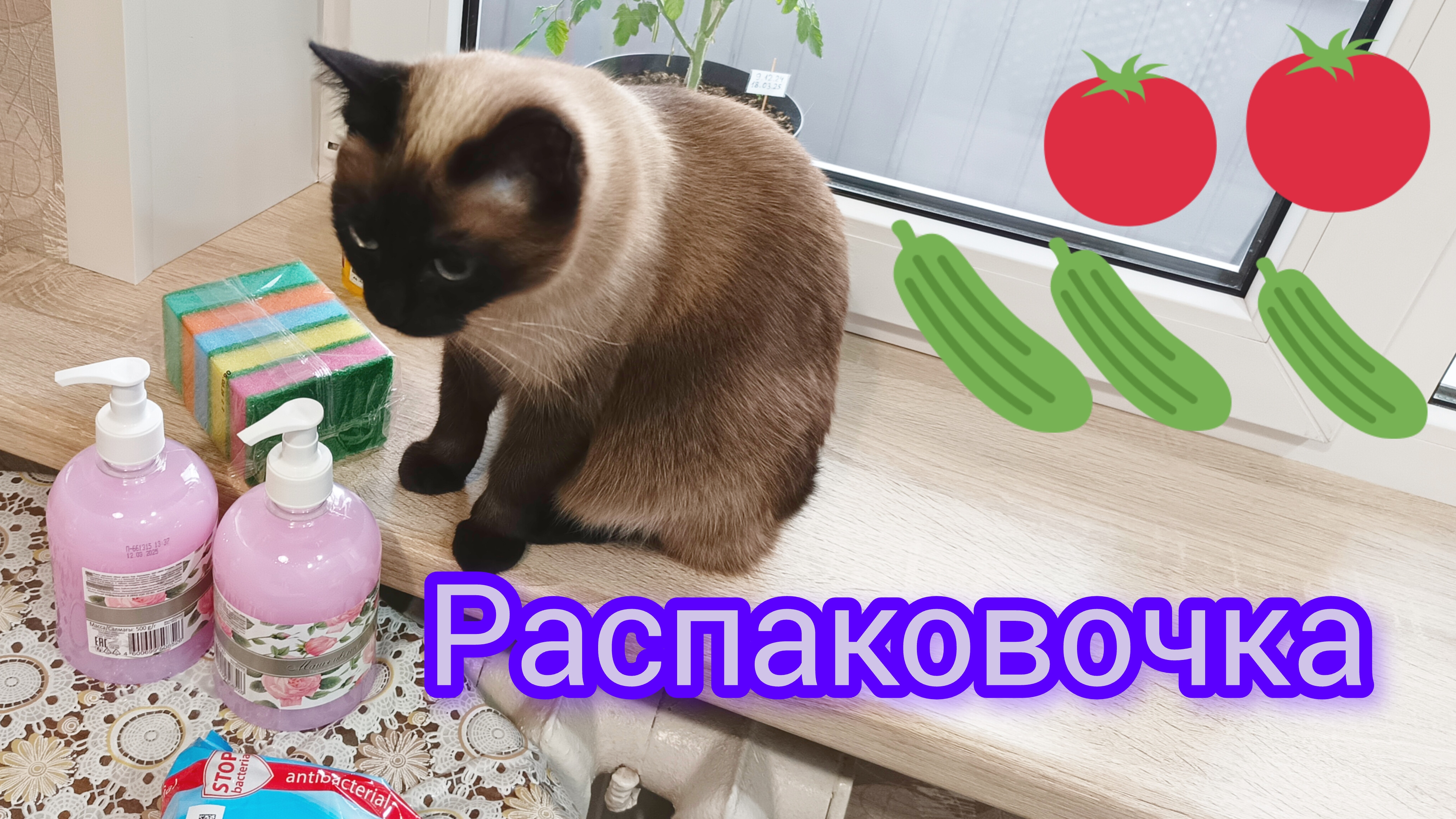 #распаковка #обзор
