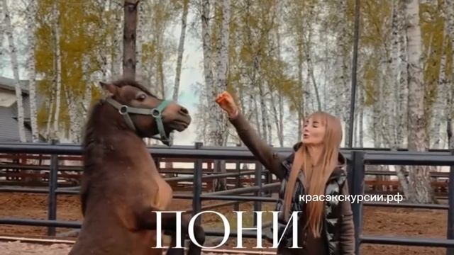 ТРОПА ИНДЕЙЦЕВ - экскурсия на ферме