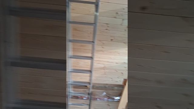 1000026783.mp4 (Собака смотрит на крепление имитации бруса внутри дома А-фрейм)