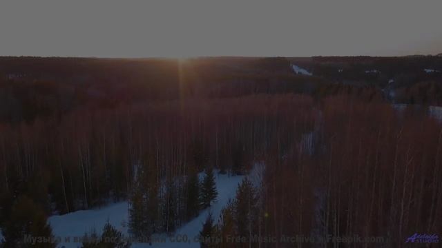 Это не просто видео - это шедевр, который трогает душу! - It Cant Be Love Unless It Hurts -- Tracyan