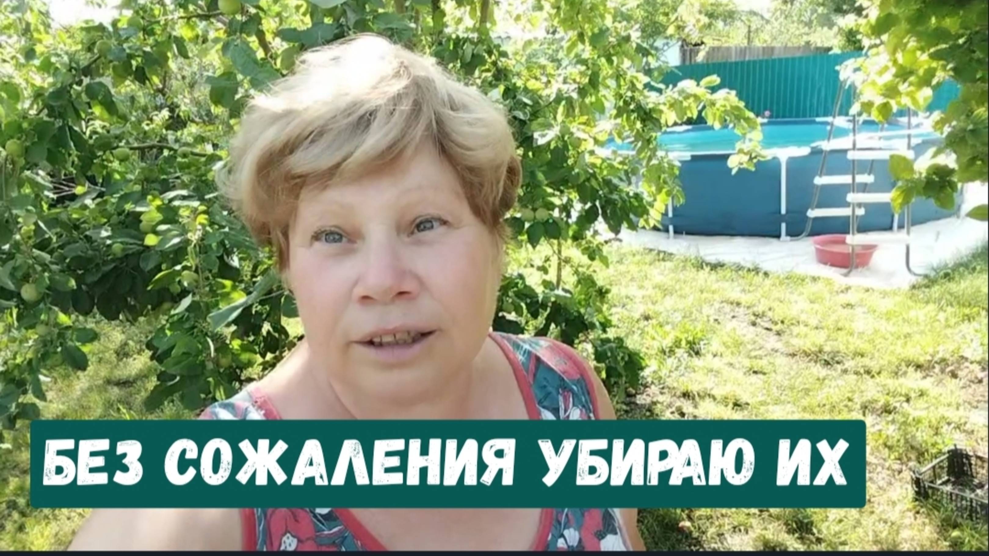 #41🌷18 июня.Без сожаления убираю их/Расставила по местам/Заготовки на зиму/Собираю урожай