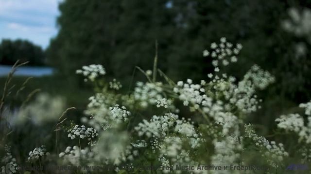 Кадры, снятые через 11-е измерение - технологии за гранью! - From Ohio -- Derek Clegg -- Random Call