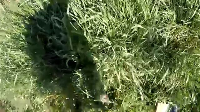 Всегда приятно оказаться на берегу любимой реки со снастью в руках
