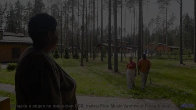 Когда музыка становится вашим проводником в чащу! - My Tribe -- Ketsa -- 1 of 1