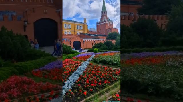 Александровский сад!