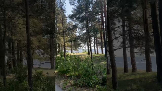 15.05.2025
Длительная 35 км. Готовлюсь к марафону «Белые ночи»