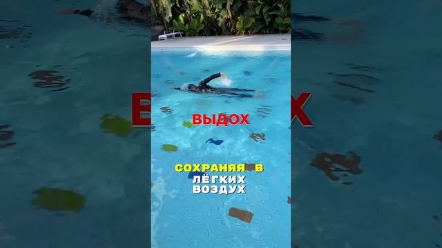 Когда выдыхать в кроле: сразу или нет?!