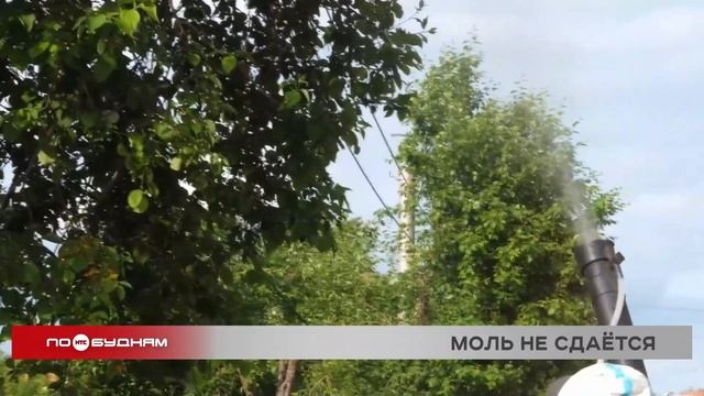 Второй этап обработки насаждений от горностаевой моли начался в Иркутске