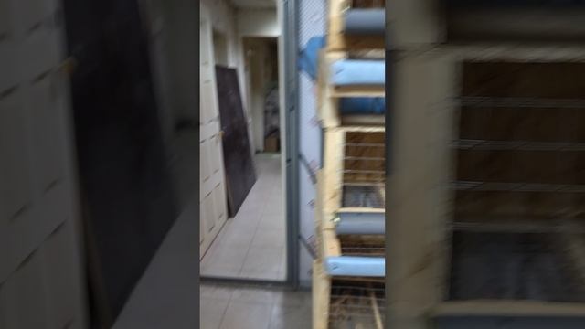 1000019570.mp4