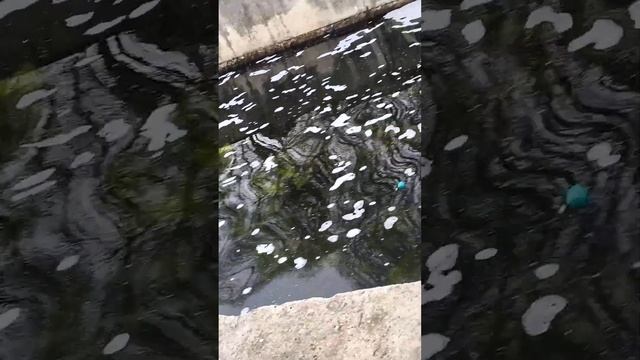 Рыбалка на поплавок