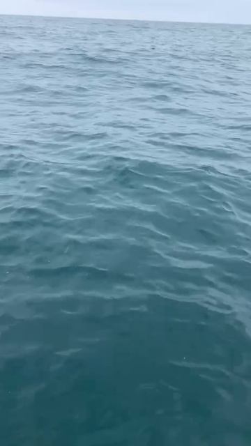 Тянем потянем.