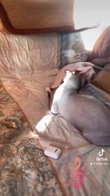 21 июля 2023 г.