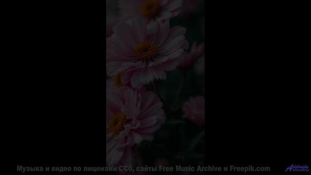 Пейзажи взрываются эмоциями вместе с этим треком - Laundry On The Wire -- HoliznaCC0 -- Lazy Summer