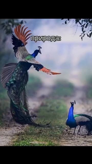 5 неочевидных ред флагов мужчин: