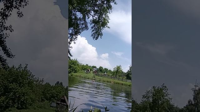 плавание