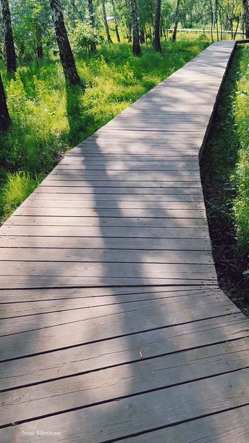 В каждом дне есть своя магия☀️ Прогулка по парку у реки Каменка, г. Новосибирск.