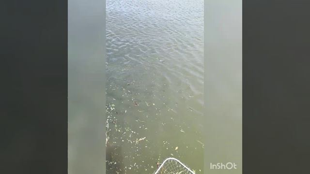 1000023695.mp4