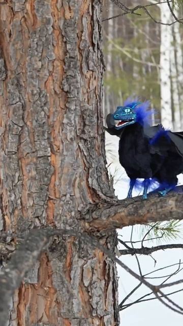 Black dragon