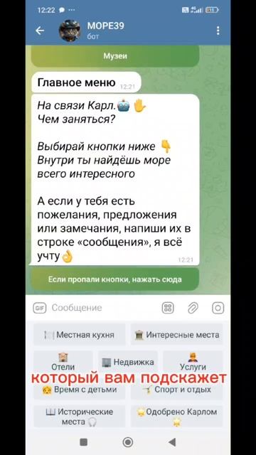 Карл в Зеленоградске