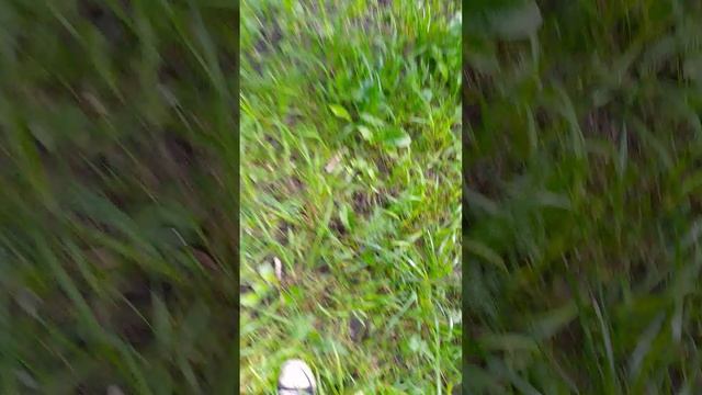 1000013792.mp4