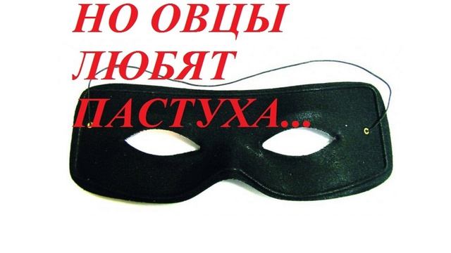 НО ОВЦЫ ЛЮБЯТ ПАСТУХА...