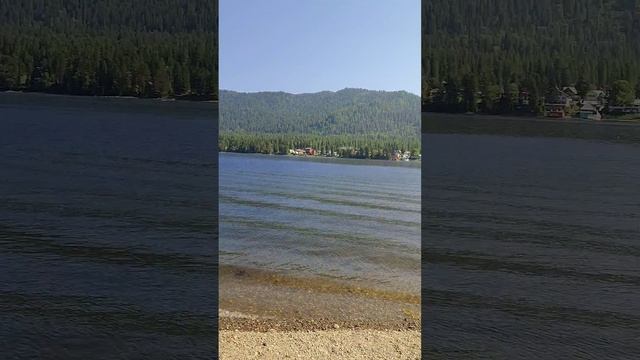 На берегу Телецкого озера