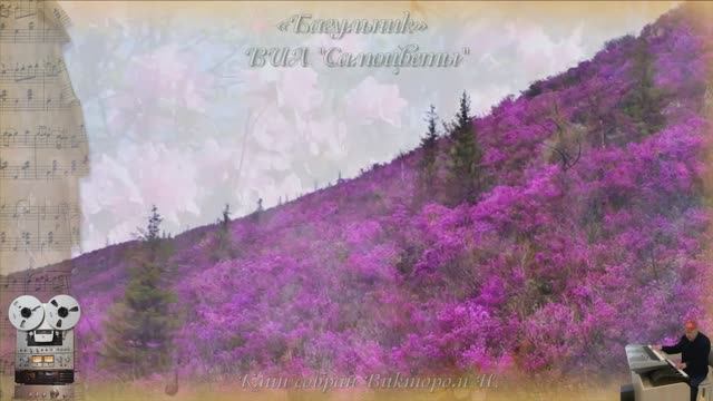 «Багульник»
ВИА "Самоцветы"