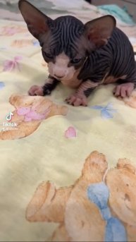 1 марта 2022 г.