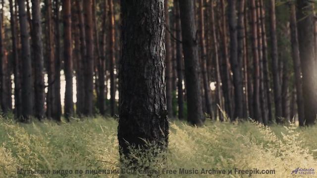 Трек, который звучит так, будто он написан для поцелуев! - По местам -- Фиорд -- Невзялазь