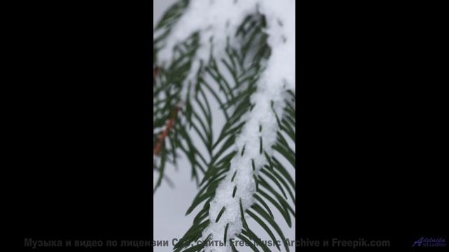 Горы, скорость и звук, который не даёт сбавить обороты! - Holding On To Yesterday -- Tadz -- Soul Sy