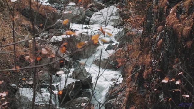 Музыка, которая УБИВАЕТ и ВОСКРЕШАЕТ! - Rainbow -- Chad Crouch -- Motion