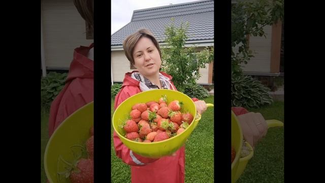 18 июня День Клубники в России🍓 Поздравляю всех любителей клубники❤️