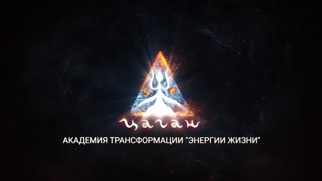 Отзывы