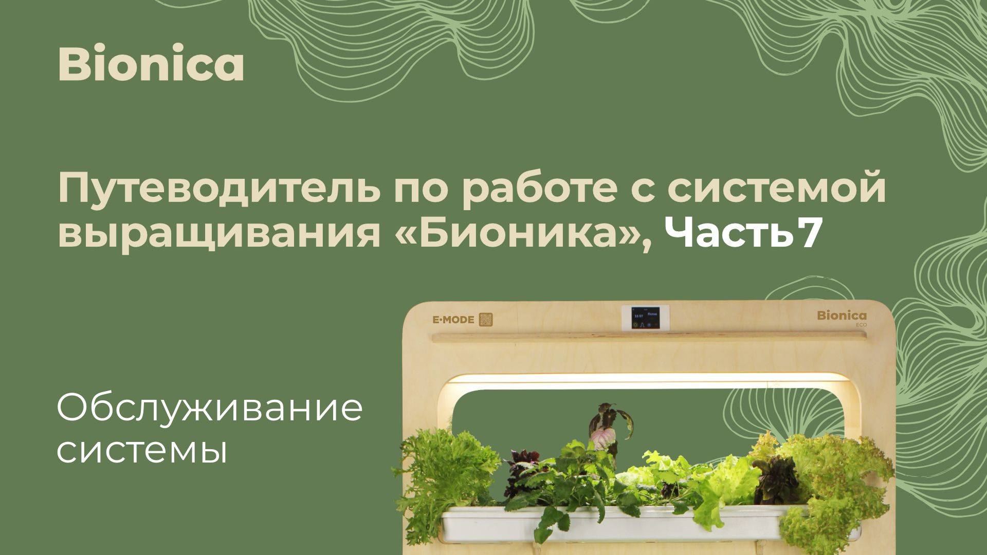 Выращиваем с «Бионикой»: обслуживание системы. Часть 7
