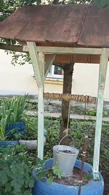 Красота у тропинки