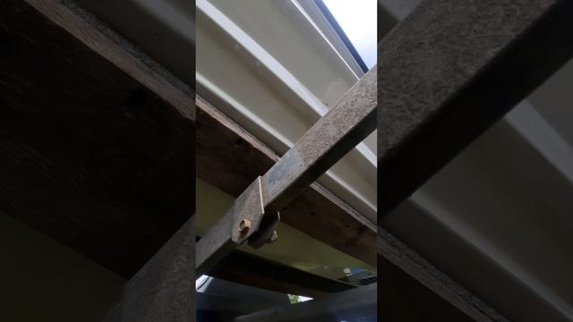 1000055223.mp4