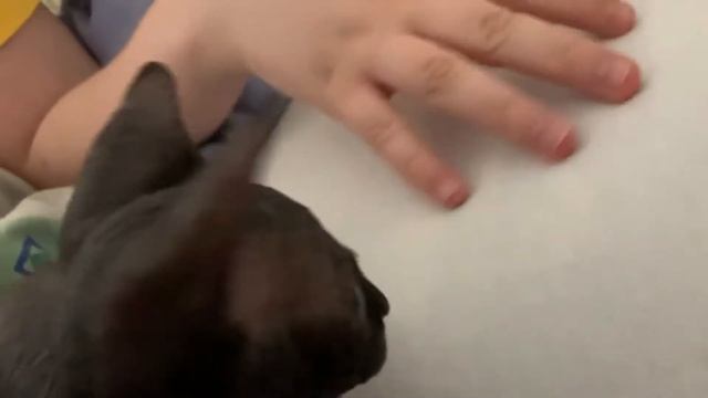 У нас появился