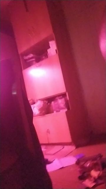 VID_20250617_213834.mp4