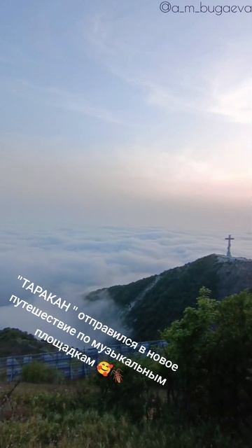 Пропустила свой релиз😅 совсем самостоятельный таракашка стал🥹