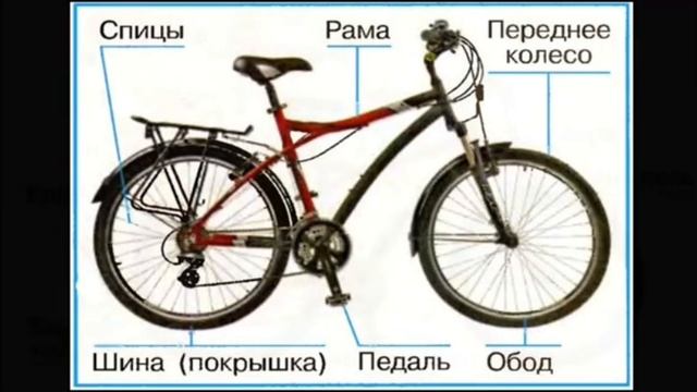 когда изобрели велосипед