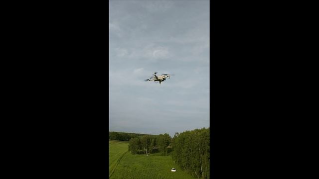 AVAST 2 пасёт mini 4😊